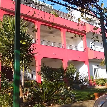 Apartments Mare - 30 M From Pebble Beach セゲット・ヴラニツァ エクステリア 写真